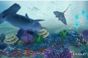 半岛星空足球app下载正式版